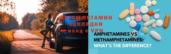 индика Фёдоровский