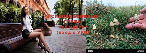 прущая мука Белоозёрский